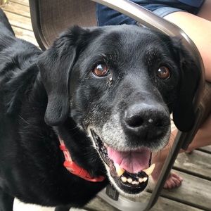 Meet your Posher, Ayla